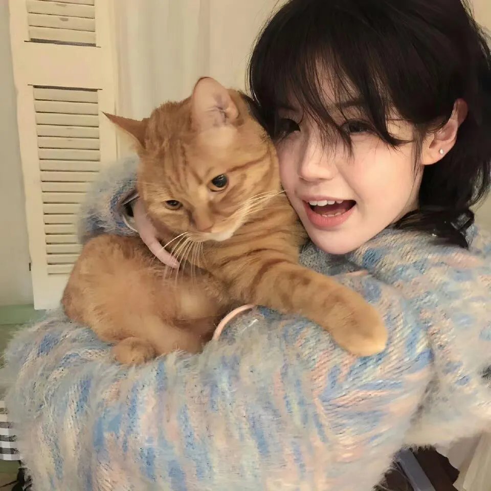 只有我不存在的城市